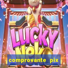 comprovante pix fake meme